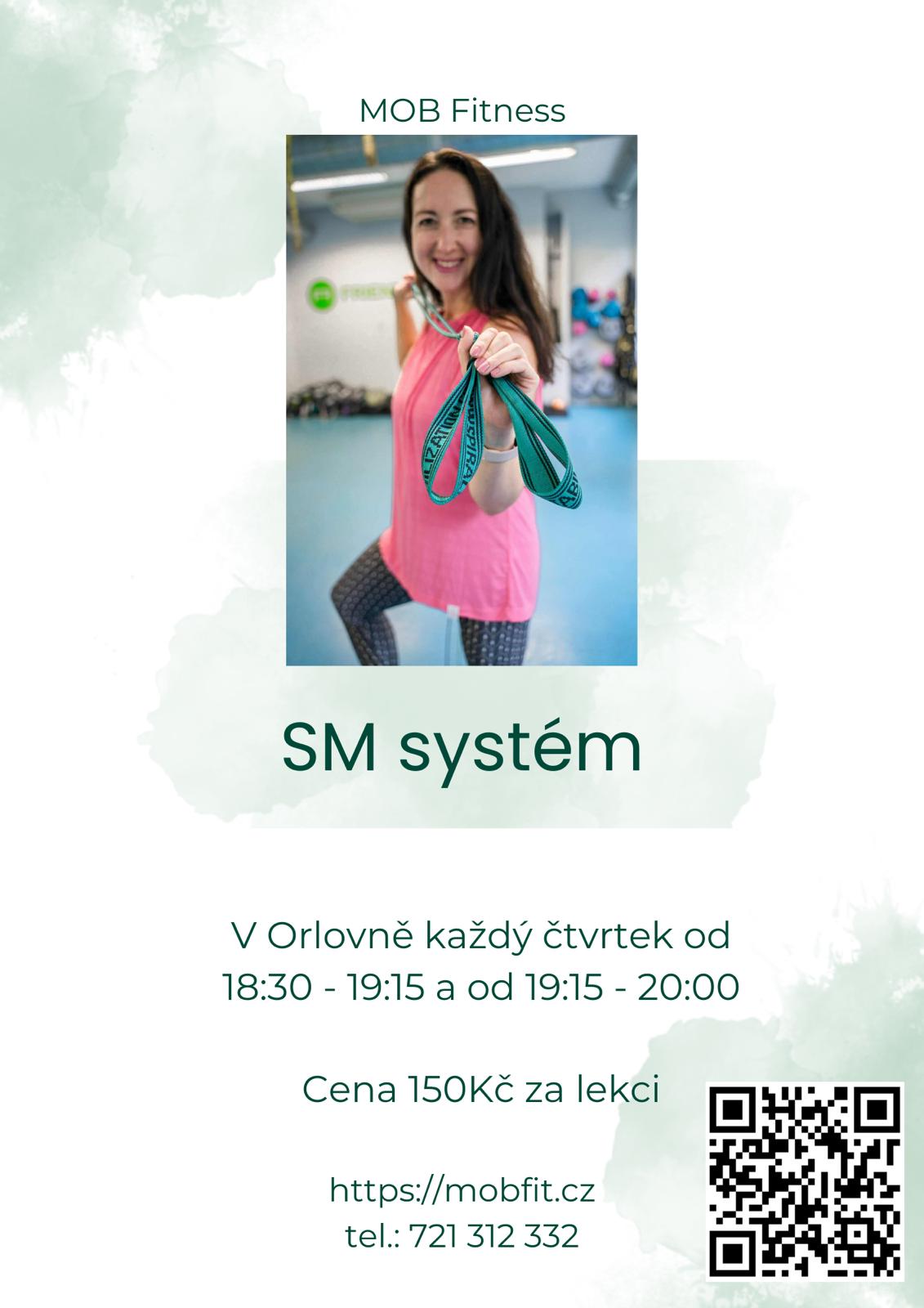 Přečtete si více ze článku Cvičení SM systém